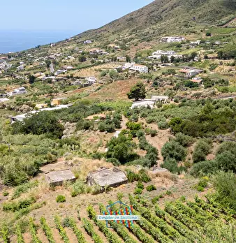 Foto annuncio 54