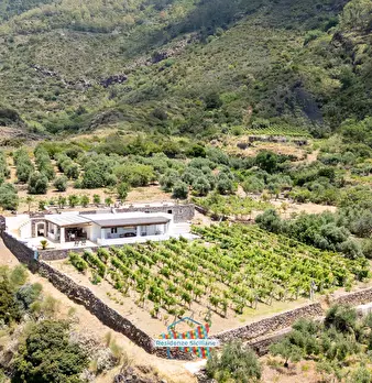 Foto annuncio 63