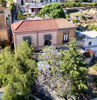 Foto annuncio 68