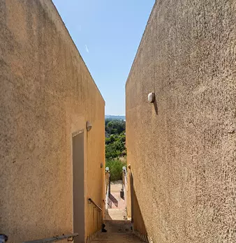 Foto annuncio 10