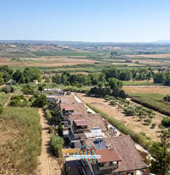 Foto annuncio 49