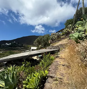 Foto annuncio 24