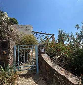 Foto annuncio 25