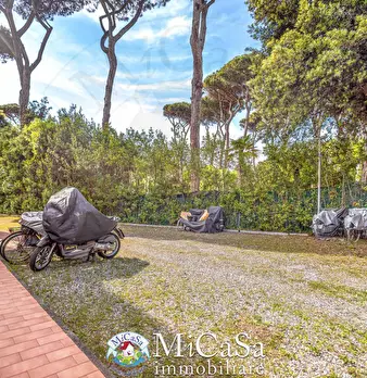 Foto annuncio 26