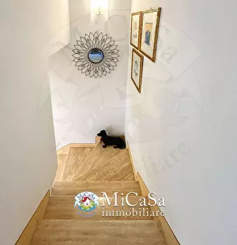 Foto annuncio 11