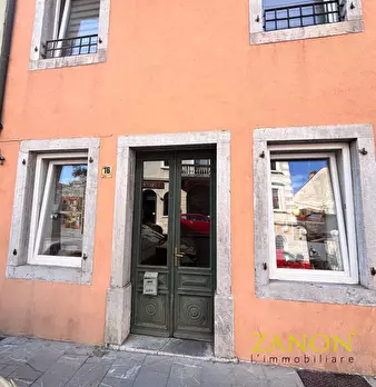 Foto annuncio 12