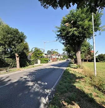 Foto annuncio 4