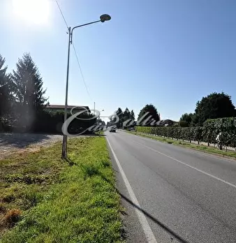 Foto annuncio 6