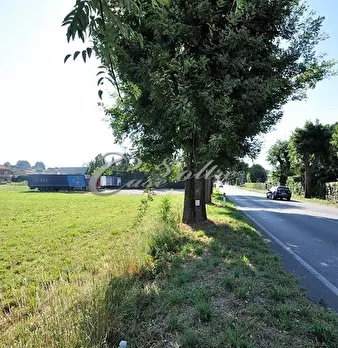 Foto annuncio 9