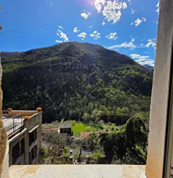 Foto annuncio 11