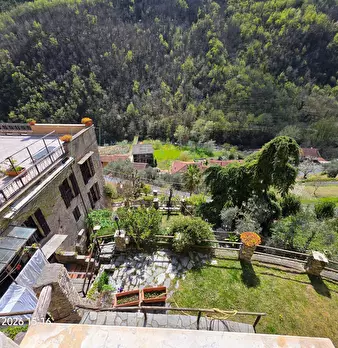Foto annuncio 12