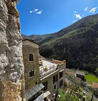 Foto annuncio 13