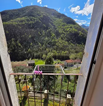 Foto annuncio 15