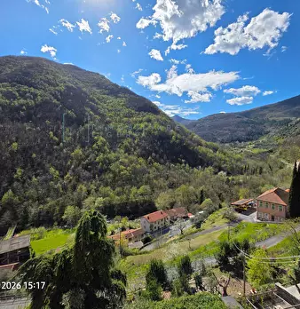 Foto annuncio 16