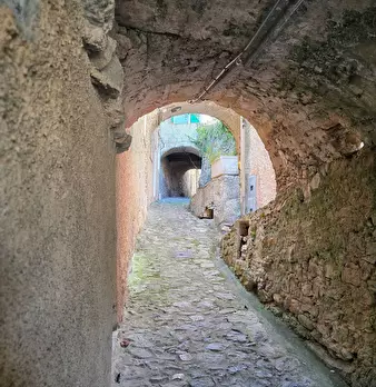 Foto annuncio 28