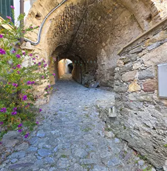 Foto annuncio 31