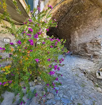 Foto annuncio 32