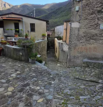 Foto annuncio 34