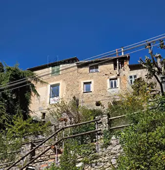 Foto annuncio 36