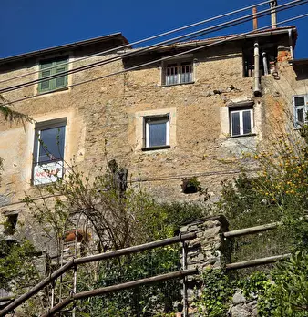 Foto annuncio 37