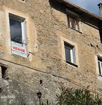 Foto annuncio 38