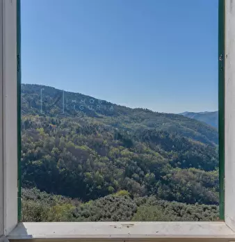 Foto annuncio 18