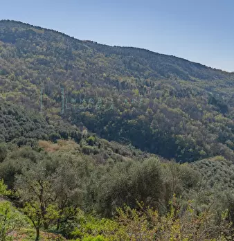 Foto annuncio 25
