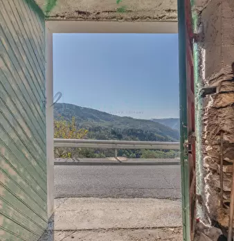 Foto annuncio 47