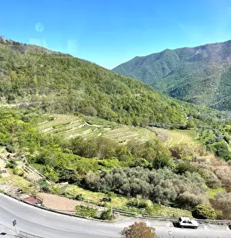 Foto annuncio 28