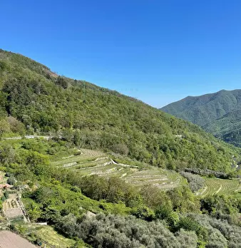 Foto annuncio 37