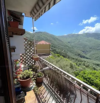 Foto annuncio 18
