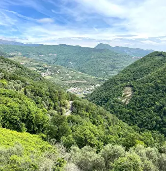 Foto annuncio 3