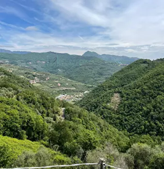 Foto annuncio 22