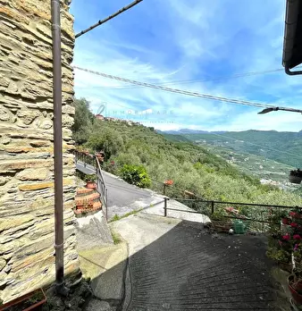 Foto annuncio 24