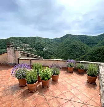 Foto annuncio 2