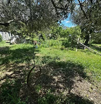 Foto annuncio 13