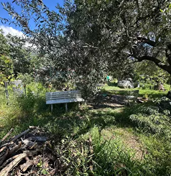 Foto annuncio 17