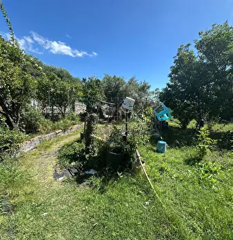 Foto annuncio 21