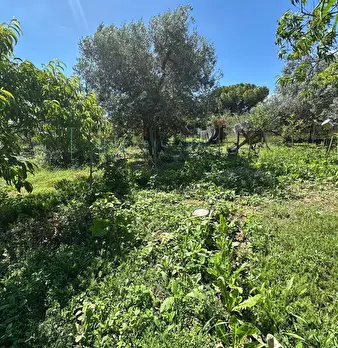 Foto annuncio 24