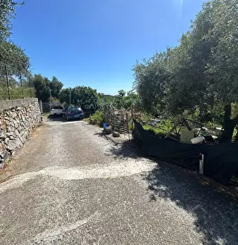 Foto annuncio 26