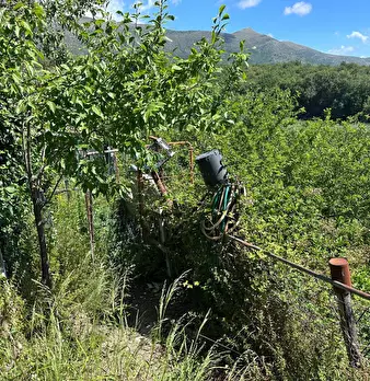 Foto annuncio 27