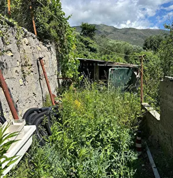 Foto annuncio 28