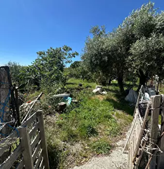 Foto annuncio 29