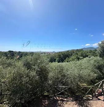Foto annuncio 31
