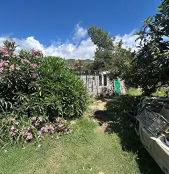 Foto annuncio 1