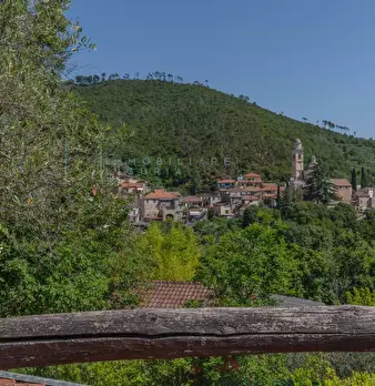 Foto annuncio 51