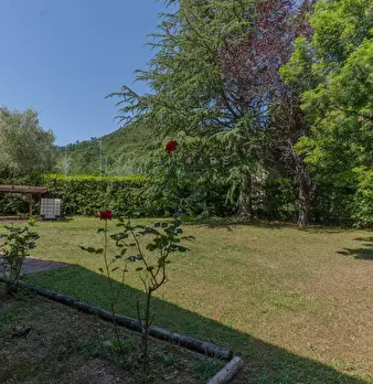 Foto annuncio 66