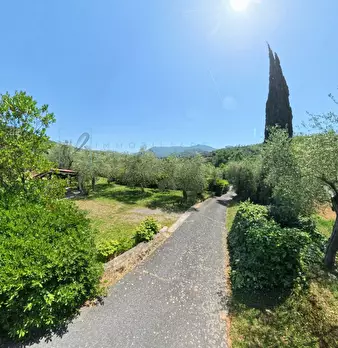 Foto annuncio 76