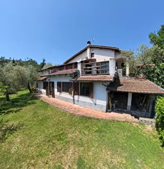 Foto annuncio 77