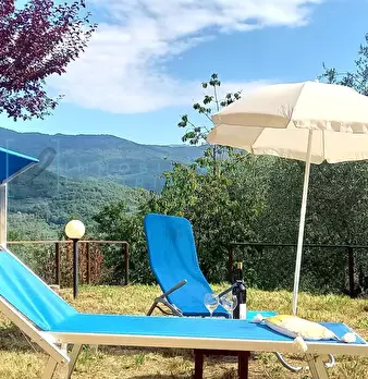 Foto annuncio 12